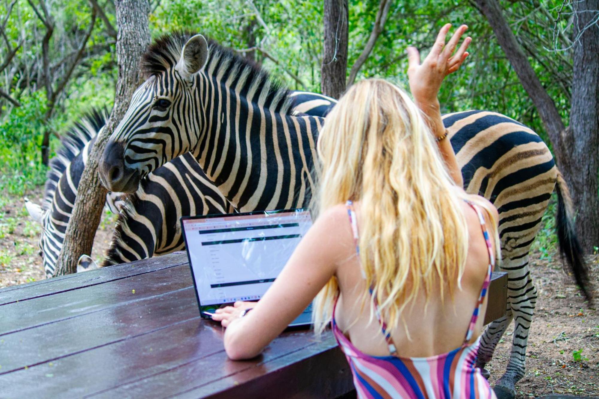 Kruger Park Albergue *